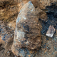 Illustration for article titled Unexploded 500 Pound WWII-Era Bomb Causes Evacuation In London